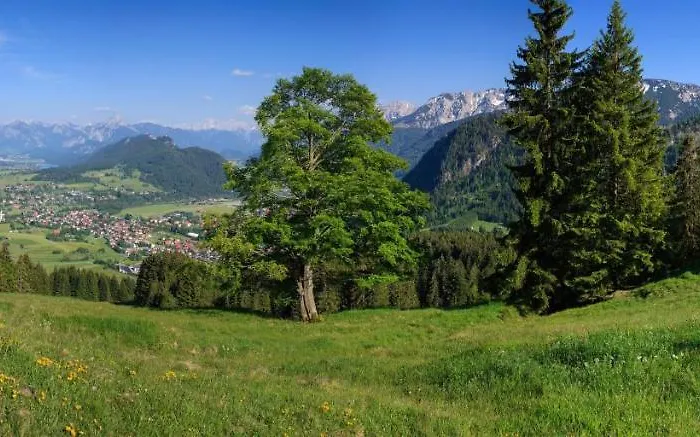 Apartament Bergnah *