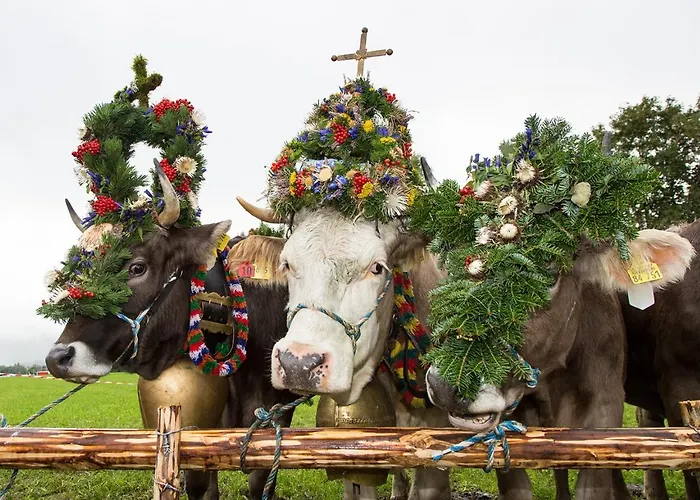 Apartament Bergnah
